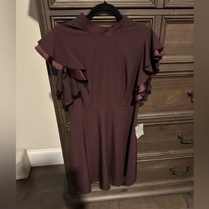 NWT Chelsea28 Nordstrom A-Line Dress. Ruffle sleeves. Burgundy Size 10